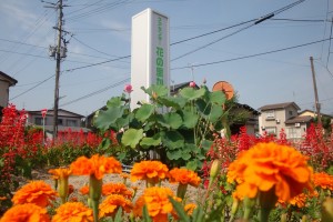 看板と花