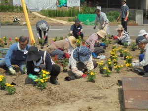 正面センターポール花壇は皆さんをお出迎えするメインの花壇です。